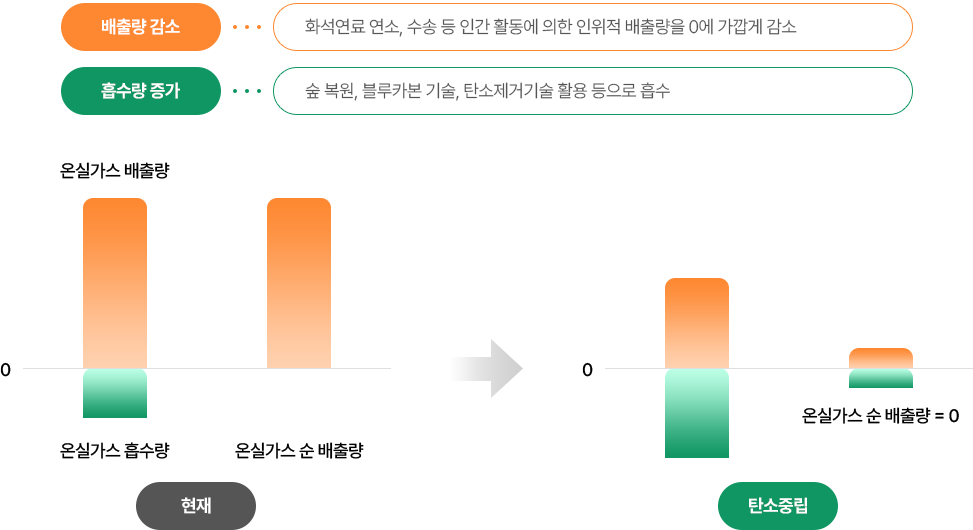 탄소중립전략 흐름도